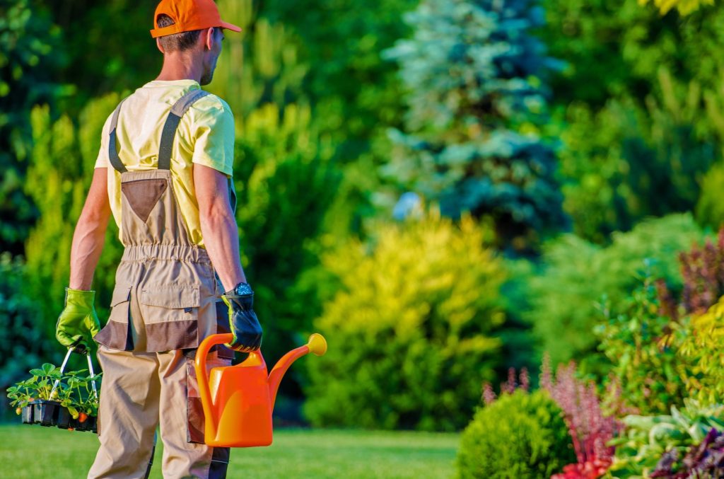 Gardening Service